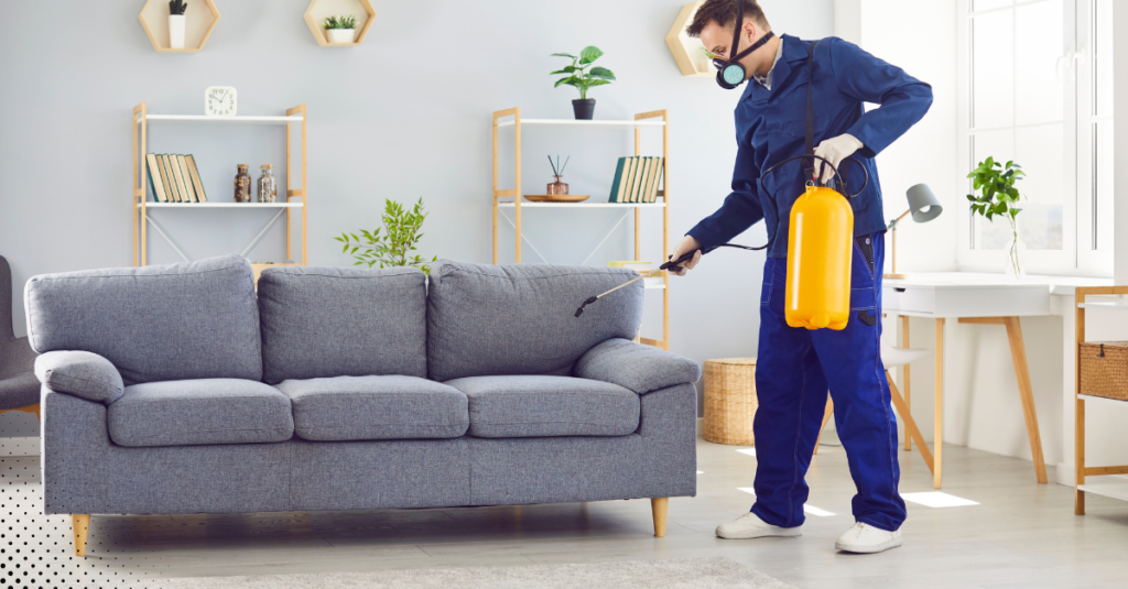 Keep Florida Homes Pest-Free This Winter_ Essential Tips For Homeowners Extra Image